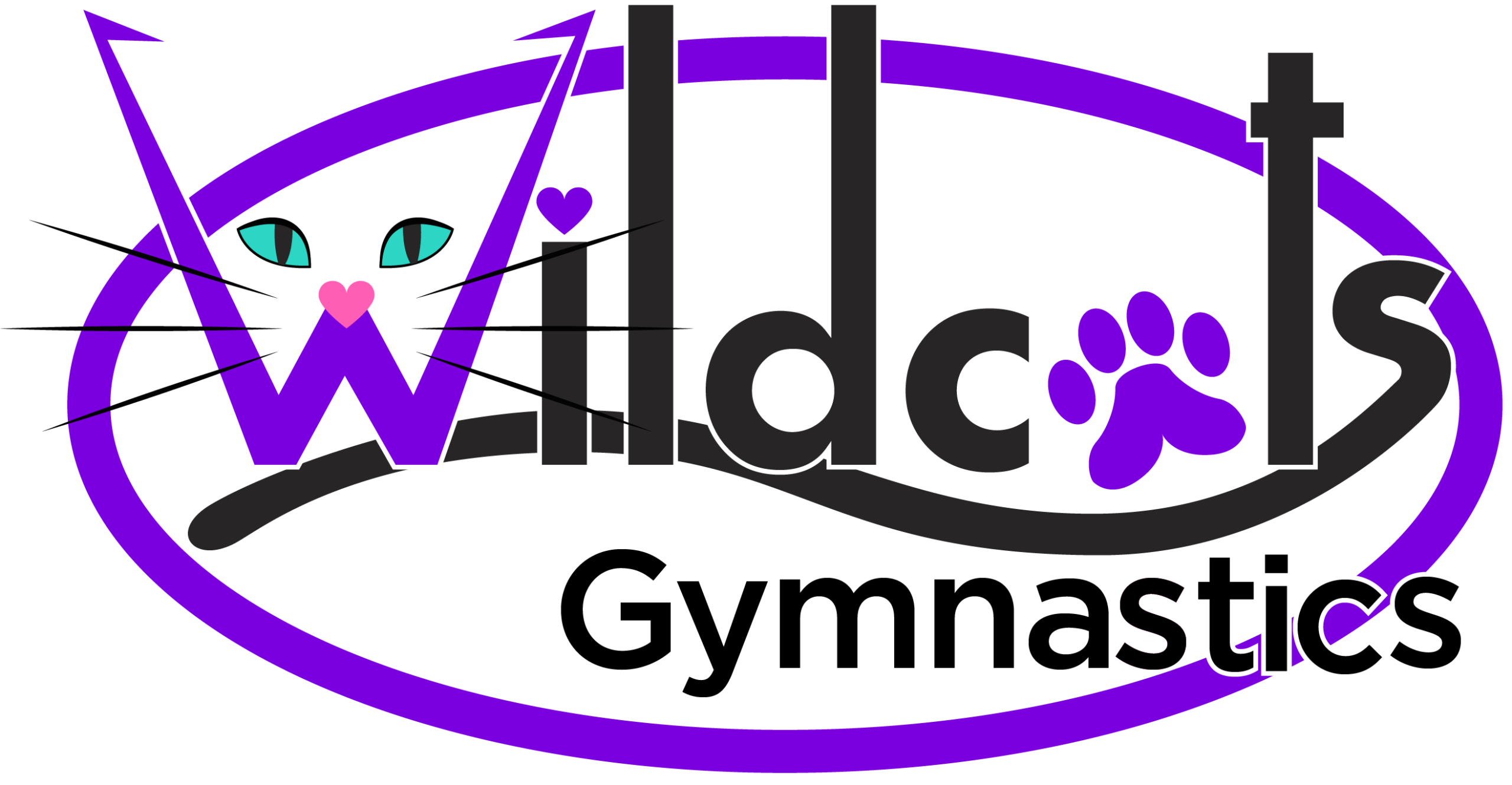 Wildcats Gymnastics